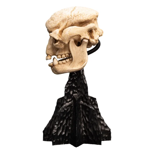 Weta Workshop Lord of the Rings Mini Statue Skull of a Cave Troll 21cm