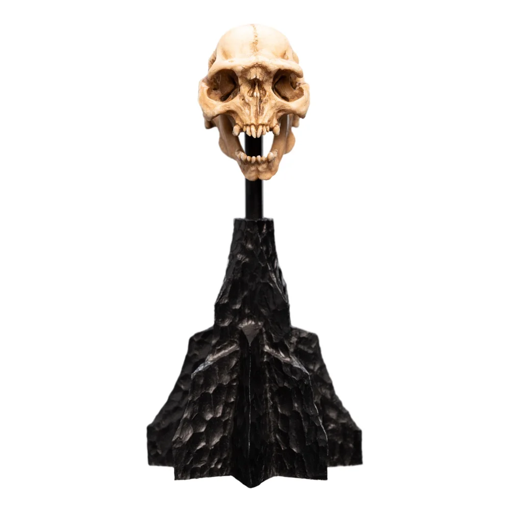 Weta Workshop Lord of the Rings Mini Statue Skull of a Moria Orc 13cm Image 1