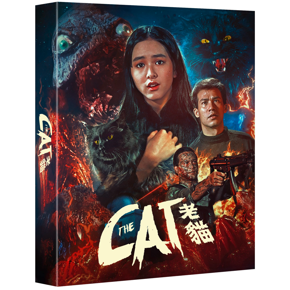 The Cat Image 1