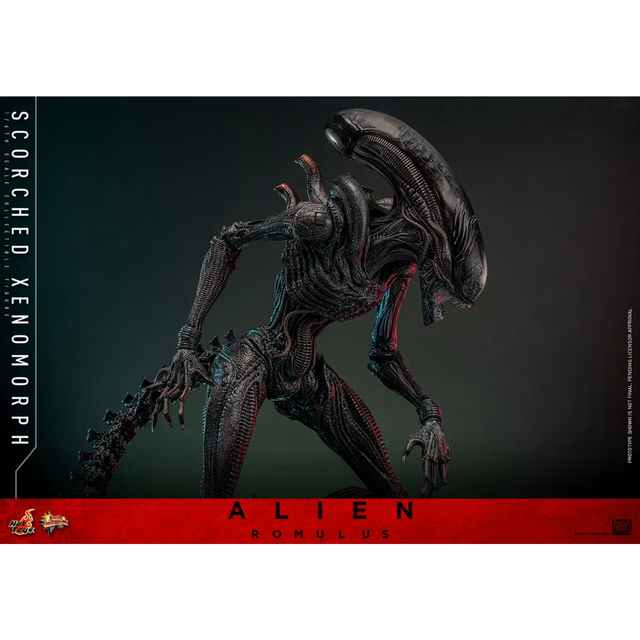 Hot Toys Alien 1/6 Scorched Xenomorph - Alien Romulus