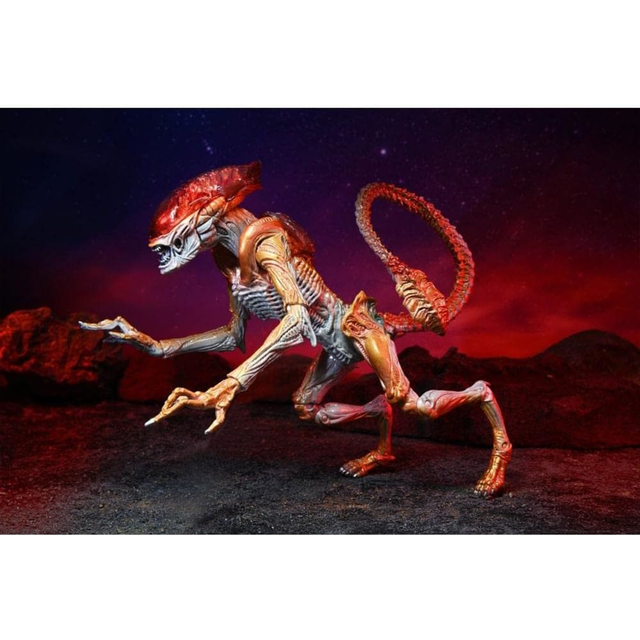 NECA NECA Aliens 7in Fig-Ultimate Kenner Tribute Panther Alien
