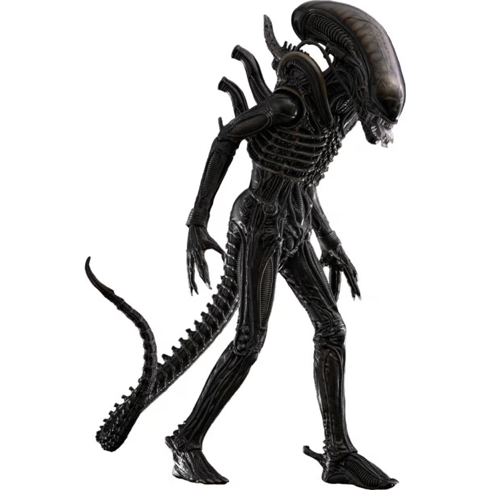 Hot Toys 1/6 Big Chap - Alien Image 1