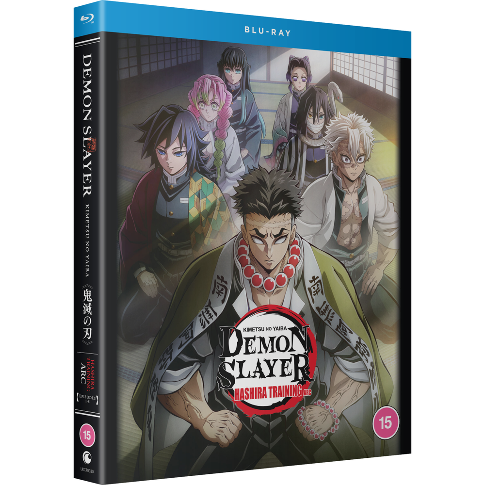 Demon Slayer: Kimetsu no Yaiba: Hashira Training Arc Image 1