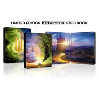 Wicked: For Good 4K Ultra HD SteelBook Version 1