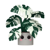 Pop! Jumbo Flora Monstera