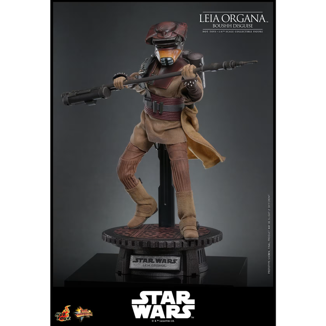 Hot Toys 1/6 Leia Organa (Boushh Disguise) - Return of the Jedi Figure