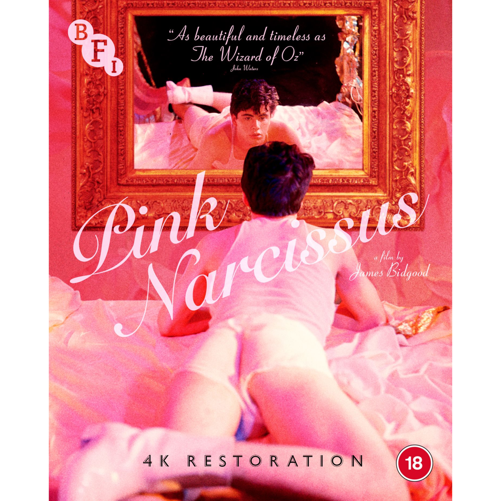 Pink Narcissus Image 1