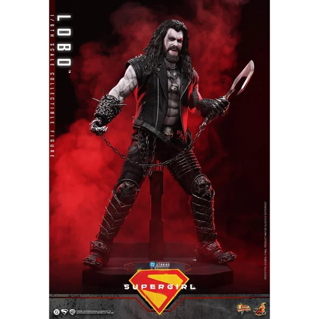 Hot Toys DC Comics Movie Masterpiece Action Figure 1/6 Lobo 33 cm