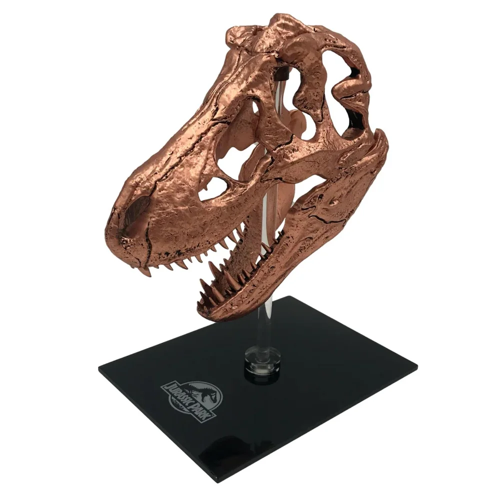 Jurassic Park Scaled Prop Replica T-Rex Skull - Factory Entertainment Image 1