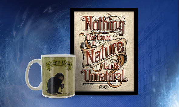 Fantastic Beasts mug, Fantastic Beasts print