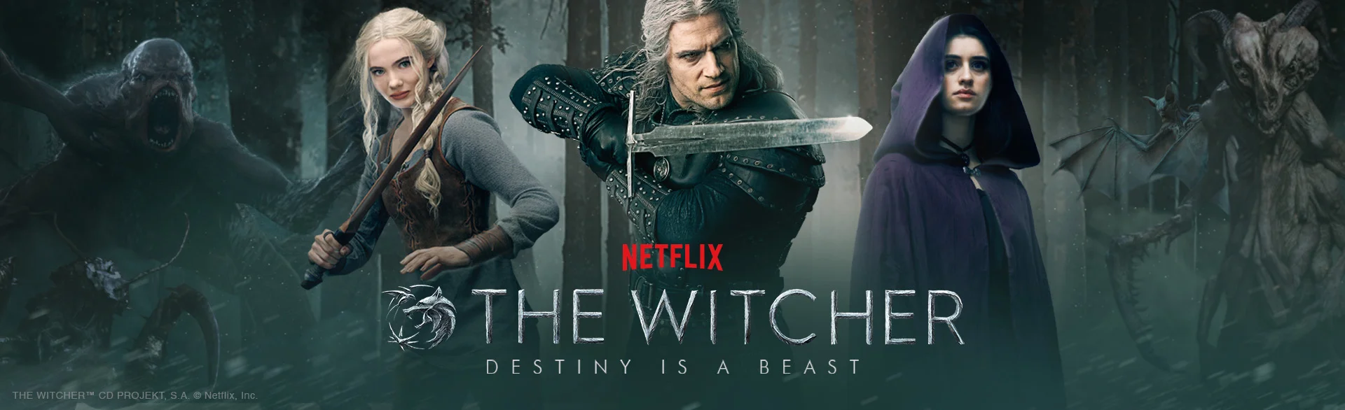THE WITCHER