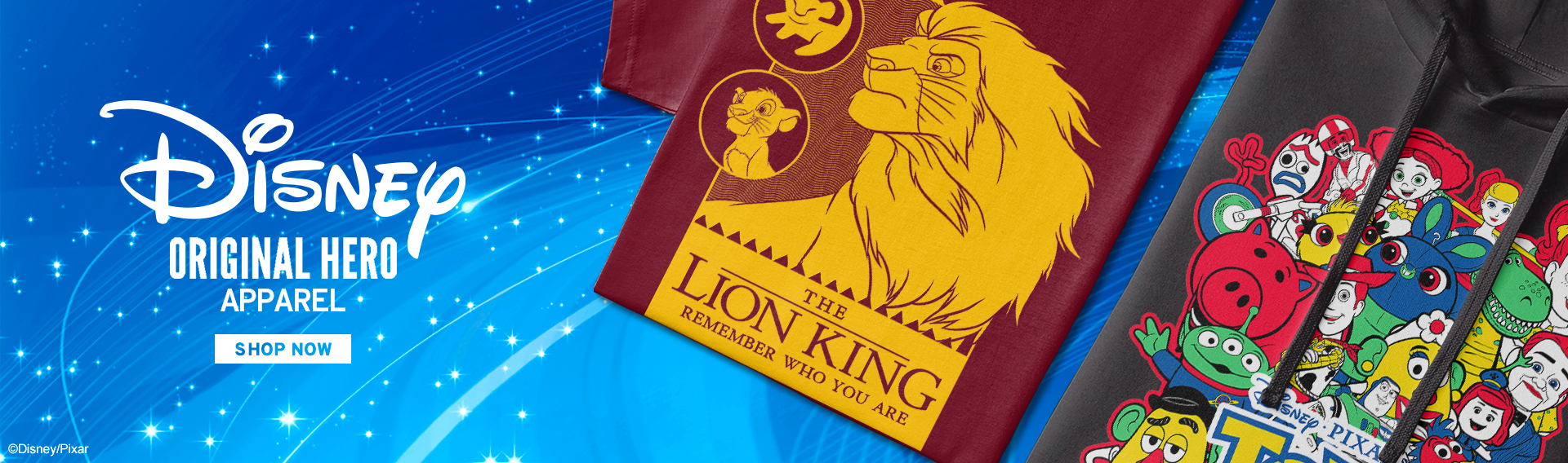 DISNEY 100 GO LIVE BANNERS