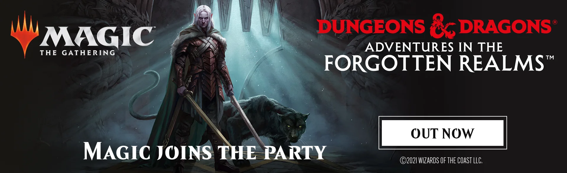 DND & MTG COLLECTION BANNERS